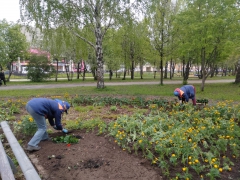 ���� ������ ������