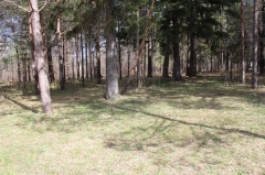 � ������-��� ������� ����� ��������� ��������