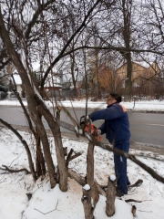 ������������ ����������� �������� �� ������ ������