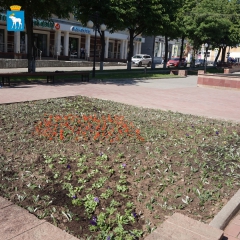 �������, ���������, ����������, ����� � ����� ������ ��������� ������� ��������� ����� �� �������� ������� � ���� ����