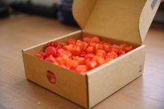 #����_������: �������� ���������� ������� � ����� �� ��������� ������ ������������