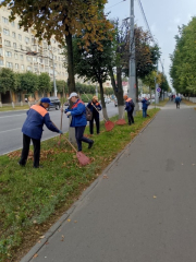 ���� ���������