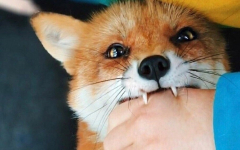 �� ����������, ���������� �� �������� ����������� ���������� ����� ��, �������� ���������� �� ������������� ��������� ����