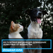 28 ��� ����������� ������-�������� ������� �� ������ � ��������� �������� ��������� ����������� �������� �������� �� ���������