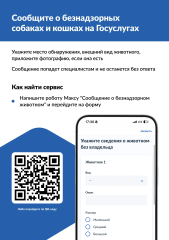 �� ������� ���������� ����� ��������� � ������������ ��������