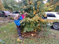 ��������� ��� "�����" ���������� � ���������� ��������� ����� � ������� �������