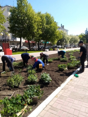 ������� ����