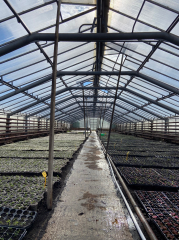 ������ ����� ��� ����� �������� "��������" �� ��������� ��������