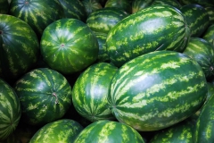 �������� ������� � ����������� ����� �� ����� ���������� �������� �� ���������� �������� �������� �� ������� �������� �������, ������, �������������� ���������