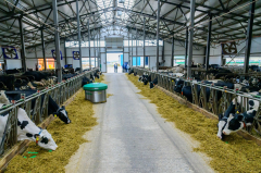 � ���������� ����� �� ������� ������ ������������ ��������� ��������������