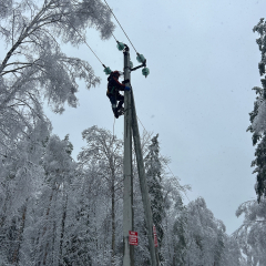 ���������� ����������� ������������ ���������� �������� ���������������� ������������ ����������