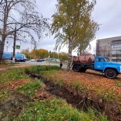 ���� ���������