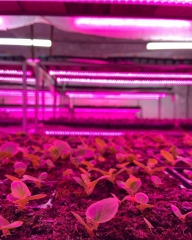 � �������� ��� ������ ����� ��������� �����