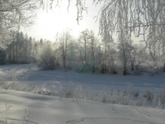 ���������� ������������  ��� ���������� �� ����