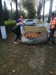 ���� ���������