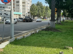 �� ������� ��.������������� � ������-��� ������������ ��������� ������