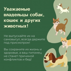 ��������� ��������� ����� � �����!