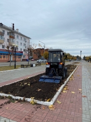 ���� ���������