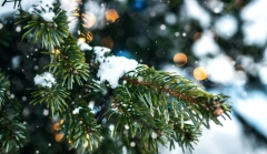 ��������������� �� ���������� ������� ����