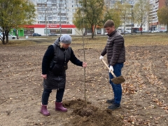 � ����� ����� �������� ������ ����� �����������