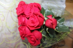 ������������ ���� �. ������-��� �.�. ���������� � ������������� ���� ������� �����.