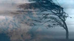 ������� ��������� ������� ������ �� ���������� ���������� ����� ��