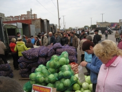 ���������� �� ��������������� �������������������� �������