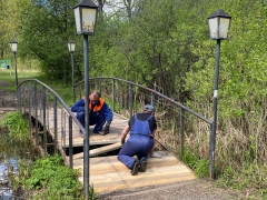 ������ ������������� ������ � �������� ����