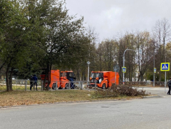 ���� ���������