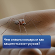 ��� ������ ������ � ��� ���������� �� ������