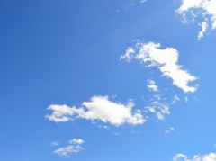 � ����������� ������ �������������� ������ ������-��� � ���������� ���������������� � ��������� ����������� "��������"