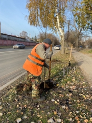 ������������ ������ �� ���������� ������