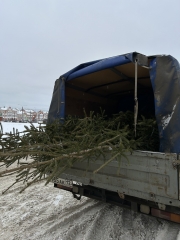 ������� ��� ����� ������ � ������-��� ����� 90 �������� ������