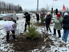 ����� ����� ������ �������� 13 ������� �������� ���