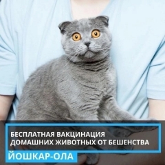 13 ���� � ����������� "��������" ������� ���������� ���������� �������� �������� �� ���������