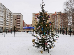 ����� ������-��� ��������� �� ������� ������ ����