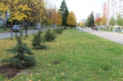 � ������-��� �������� ��� �� ����� ������ ����������� ������� ���������� ��� �� ���������� ����� ��