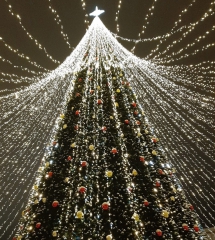 ���� �� ������� ���� ������-��� �������� 24 �������! 