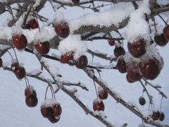 ���������� ������� ������