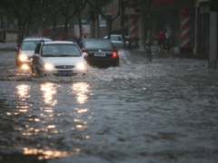 �� ����������� �������� ���� ����� ������������ �������