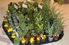 � ������-��� ������� ��������� ������������ ��������� �������� ������