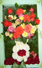 � ������-��� ��������� ������������ ��������� �������� ���� ������ � 2013�