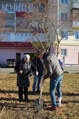 � ������ ����������������� ������������ �������� �����