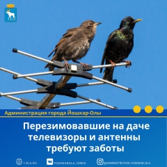 ����������� � ����: ��� ������� �� �� �������