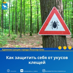 � ���� ���� ����� �������� �������