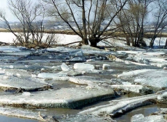 ������� ������������ �� ����� ��������