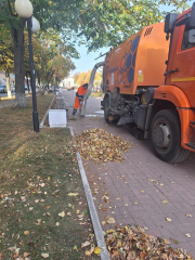 ���� ���������