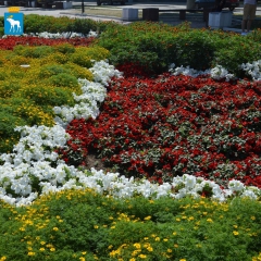 � ������-��� ������� ����� ����� ��� ������� ��������� �����