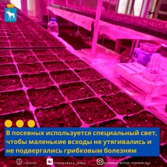 ����� � �������� ��� ������! 