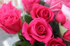 ������������ ���� �. ������-��� � ������������� ������� ����!